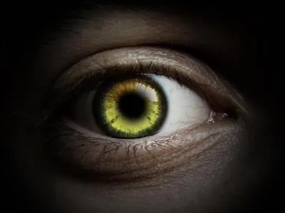 Quelle est la dfinition du racisme ?