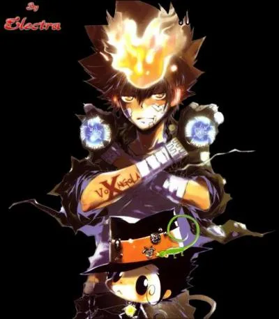 Quel est l'lment de la flamme de Sawada ?