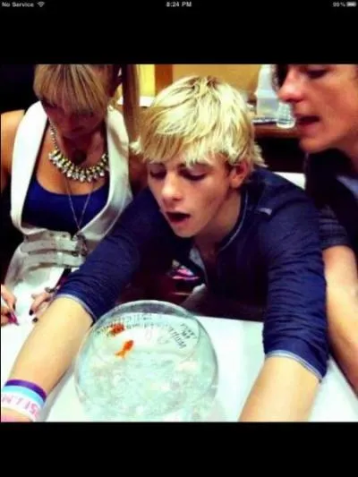 Depuis quelle anne Ross a t en activit dans sa carrire ?