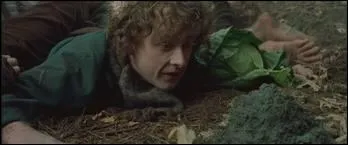 Le Pre Margotte est furieux contre Pippin et Merry car ils lui ont drob ?