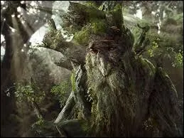 Quelle est cette crature ?