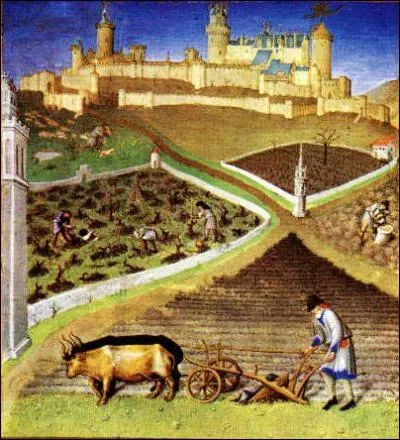  Le Bourguignon qui employait beaucoup de serfs, avait besoin de beaucoup de glbe ... que signifie le mot  glbe  ?