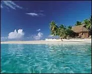 Sur les les Canaries, quelle est la nature des sols sur lesquels poussent les vignes de Lanzarote, protges par des coupe-vent de pierre ?