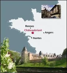 La ville de Chteaubriant ( Loire-Atlantique ) est chef-lieu ...