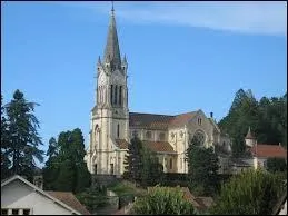 La ville de La Tour-du-Pin ( Isre ) est chef-lieu ...