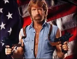 Qui a t le partenaire de Chuck Norris dans le film  Le Temple d'or  ?