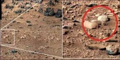 Une autre photographie plus troublante est celle-ci, qui fait apparaître ce qui semble être un rongeur sur le sol de la Planète rouge Mars, après avoir découvert ce qui semblait être un lézard. Quelle explication scientifique donne la NASA ?