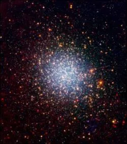 Les étoiles sont des boules de plasma, qui ont une durée de vie fort longue en temps humain, mais limitée. Durant leur vie, elles sont l'objet de deux forces opposées, lesquelles ?