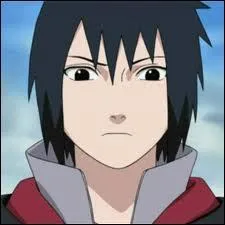 En se greffant les yeux de son frre, Sasuke obtient de nouveaux pouvoirs, lesquels ?
