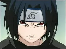 Aprs avoir vaincu Itachi, qu'est devenu le but de Sasuke ?