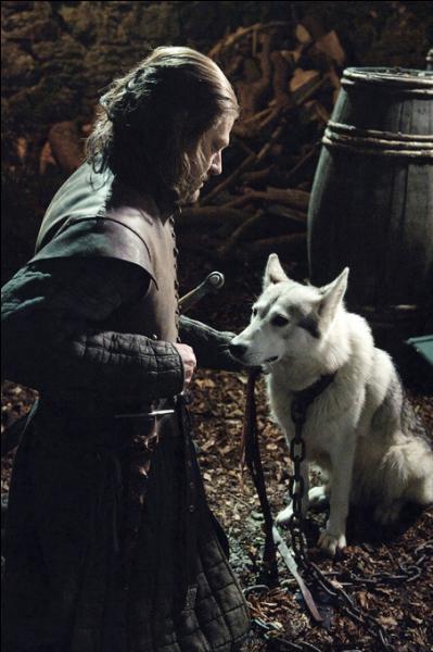 Aprs avoir blss Joffrey, Nymeria s'est enfuie, la reine exige alors la mise  mort de la louve de Sansa. Comment s'appelle cette dernire ?