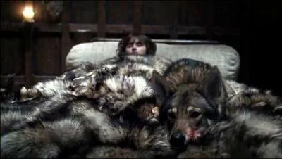 Pendant son coma, Bran chute dans un univers de brume grise o le sol se rapproche de plus en plus. Quel animal lui chuchote continuellement de voler ?