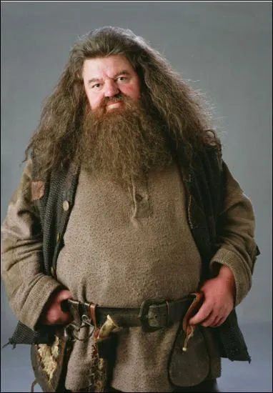 Quel est le  mtier  d'Hagrid ?