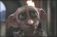 Comment s'appelle l'elfe de maison qui est le plus proche d'Harry ?