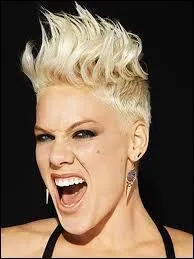 Quelle chanson n'est PAS au répertoire de la chanteuse PINK ?
