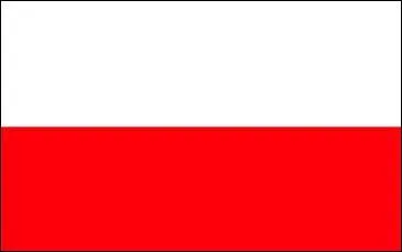 Dans quel pays se trouve ce drapeau ?