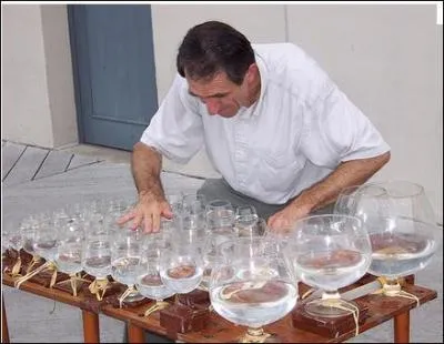 Instrument de musique d'invention nouvelle. Ce sont des verres de cristal enfils les uns dans les autres. On en tire le son en passant le doigt mouill sur le bord du verre.