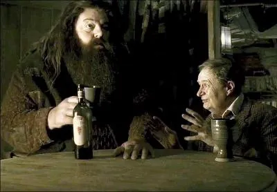  quel  hros  Hagrid et Slughorn rendent-ils hommage aprs l'enterrement d'Aragog ?