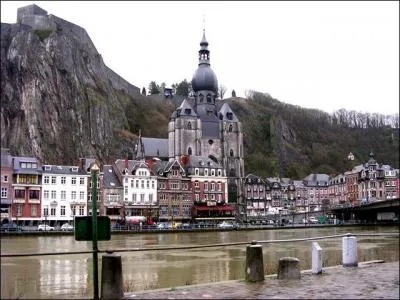 Le marbre belge de Dinant est de couleur :