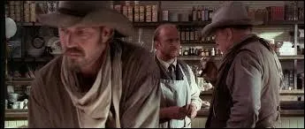 Combien de semaines a pris la construction complte d'Harmonville, dont le but tait de reconstituer une petite bourgade de l'Ouest de la fin du XIXme sicle ?