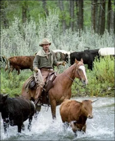 Pour les besoins du film, une inondation volontaire a t cre. L'quipe du film a alors construit un bassin artificiel en contrebas de la ville. Quelles sont ses dimensions et quel est son dbit ?