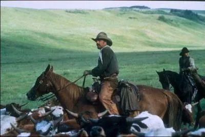 Dans le film, des effets spciaux passant inaperus sont utiliss. Quand interviennent-ils ?