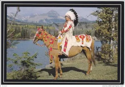 Kevin Costner a demand la permission  une rserve indienne de tourner sur son territoire. Quel est ce peuple d'Amrindiens qui fut  l'honneur dans  Danse avec les loups  ?