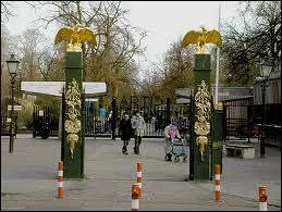 Fond� en 1838, le plus vieux zoo des Pays-Bas est le  Natura Artis Magistra ( La nature est le professeur d'art , en latin). Il est surtout connu sous un nom plus court, lequel ?