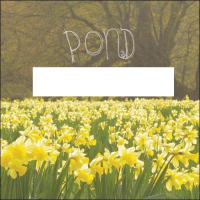 Quel est le nom de cet album studio de Pond ?