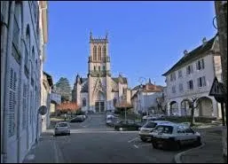 La ville de Belley ( Ain ) est chef-lieu ...