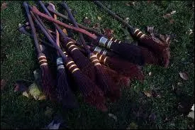 Combien de fautes peut-on faire au Quidditch ?