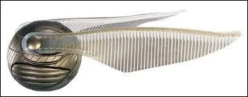 Combien de points gagne-t-on lorsque l'on attrape le Vif d'or et que se passe-t-il lorsqu'on l'attrape ?