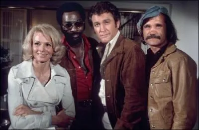 Cette femme flic est, avec son quipe, spcialise dans les oprations d'infiltration, mais dans quelle srie ?