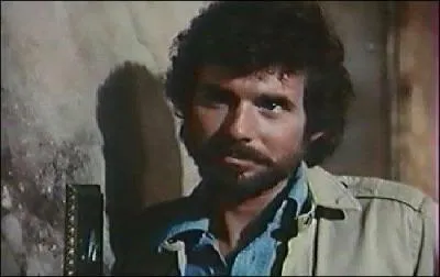 Dans quelle srie intervient ce flic  part, inspir d'un film avec Al Pacino ?