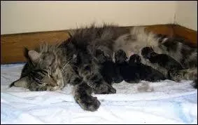 Et de quelle porte venait-elle ?