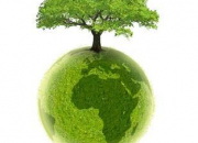 Quiz L'écologie et le développement durable