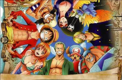 De quel quipage de One Piece s'agit-il ?