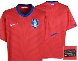 Quelle slection porte ce maillot ?