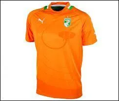 Quelle slection porte ce maillot ?