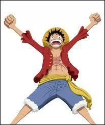 Quelle prime a Monkey D. Luffy aprs l'ellipse ?