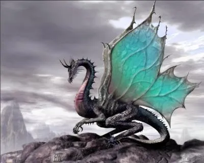 ( LE HOBBIT ) Comment se nomme le dragon qui a pris la montagne d'Erebor , enlevant ainsi l'hritage des nains d'Erebor ?