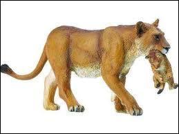 Quelle est la femelle du lion ?