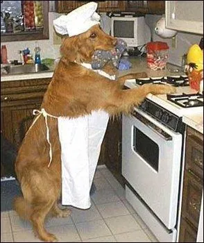 Il se débrouille comme un chef ! Combien d'animaux qui ont une queue mangent-ils avec elle ?