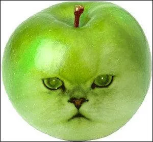 Un portrait à tomber dans les pommes ! Si vous possédez trois pommes et que vous en prenez deux, vous en possédez :