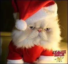 Cette arche était un cadeau ! Combien d'animaux de chaque sexe Abraham emmena-t-il sur sa célèbre arche ?