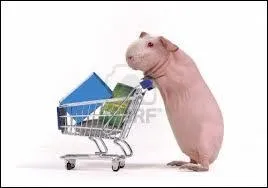 Je ne parlais pas de ces courses-là ! Je vais doubler le dernier pour être avant-dernier (au classement). Est-ce possible ?