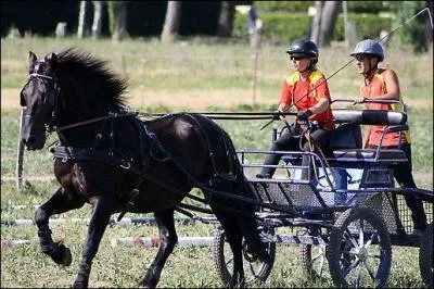 De quel sport s'agit-il (voir photographie) ?