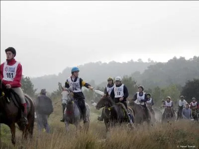 De quel sport s'agit-il (voir photographie) ?