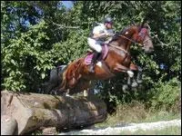 Que veux dire T. R. E. C. (voir photographie) ?