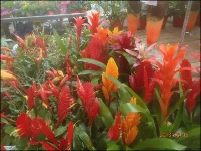 Si je vous dis de bien noter ce quiz, tout en vous cirant les pompes, c'est exactement le mot qui convient !